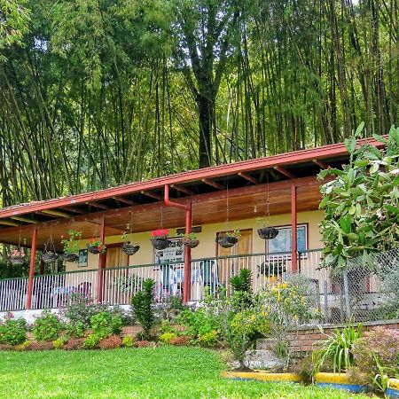 Finca Turistica Los Rosales Pereira Esterno foto