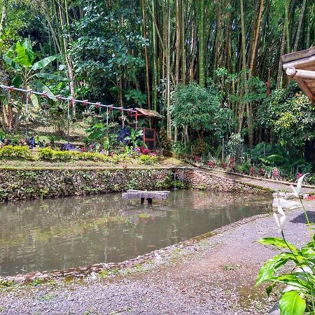 Finca Turistica Los Rosales Pereira Esterno foto