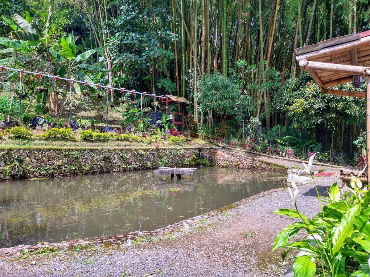 Finca Turistica Los Rosales Pereira Esterno foto