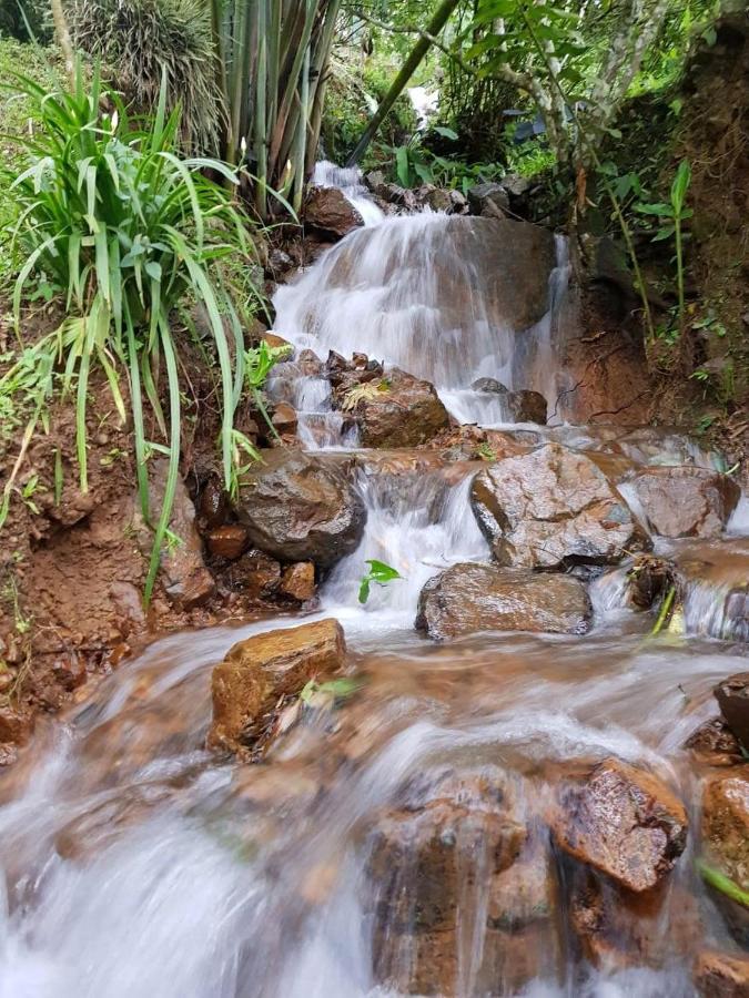 Finca Turistica Los Rosales Pereira Esterno foto